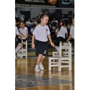 Fiesta de la Educación Física - Nivel Inicial y Primario (1°, 2° y 3° grados)